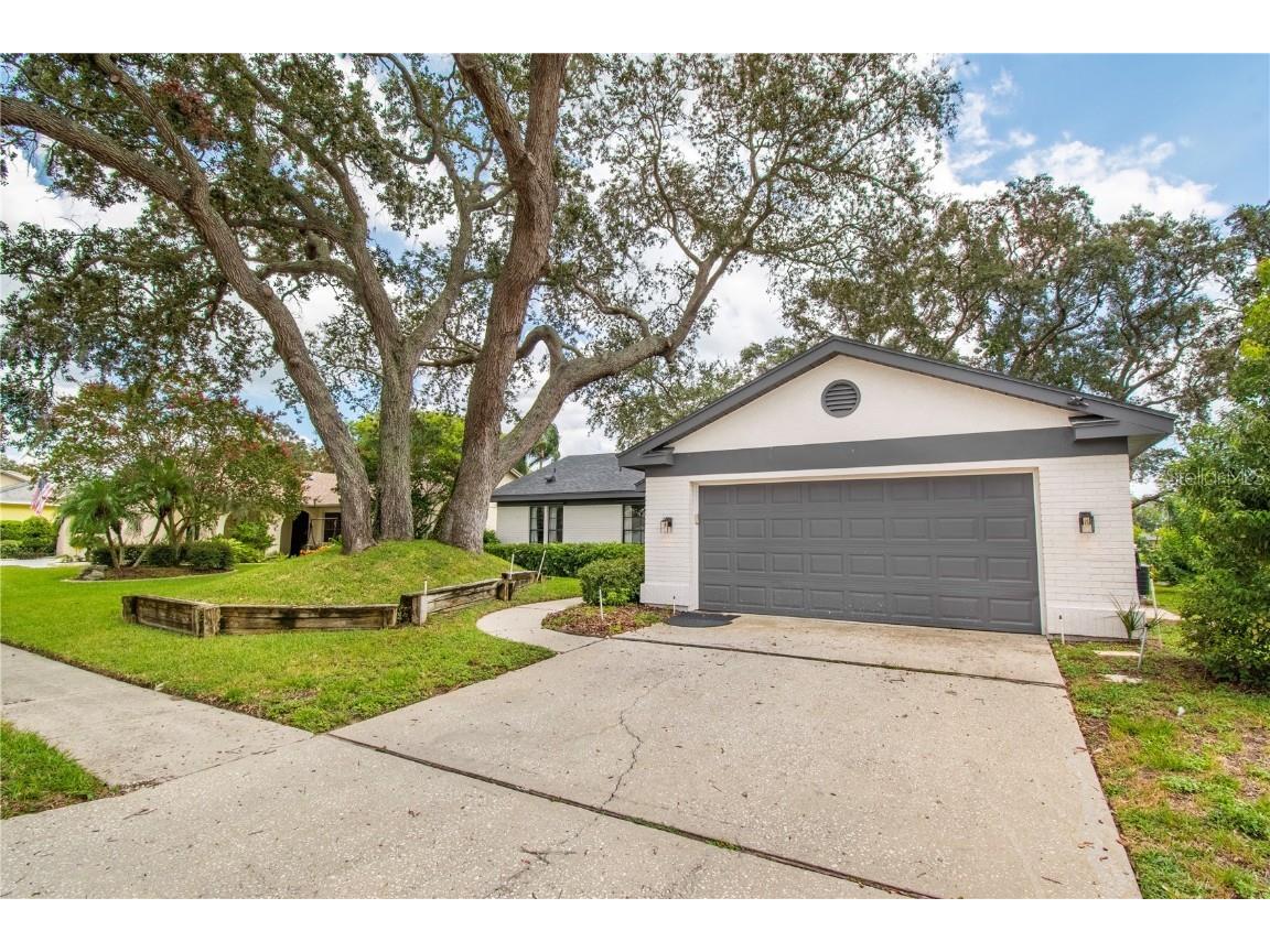 2906 Windridge Drive Holiday FL 34691 TB8406249 image42