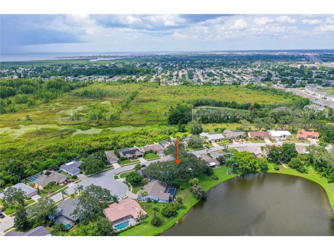 2906 Windridge Drive Holiday FL 34691 TB8406249 image47