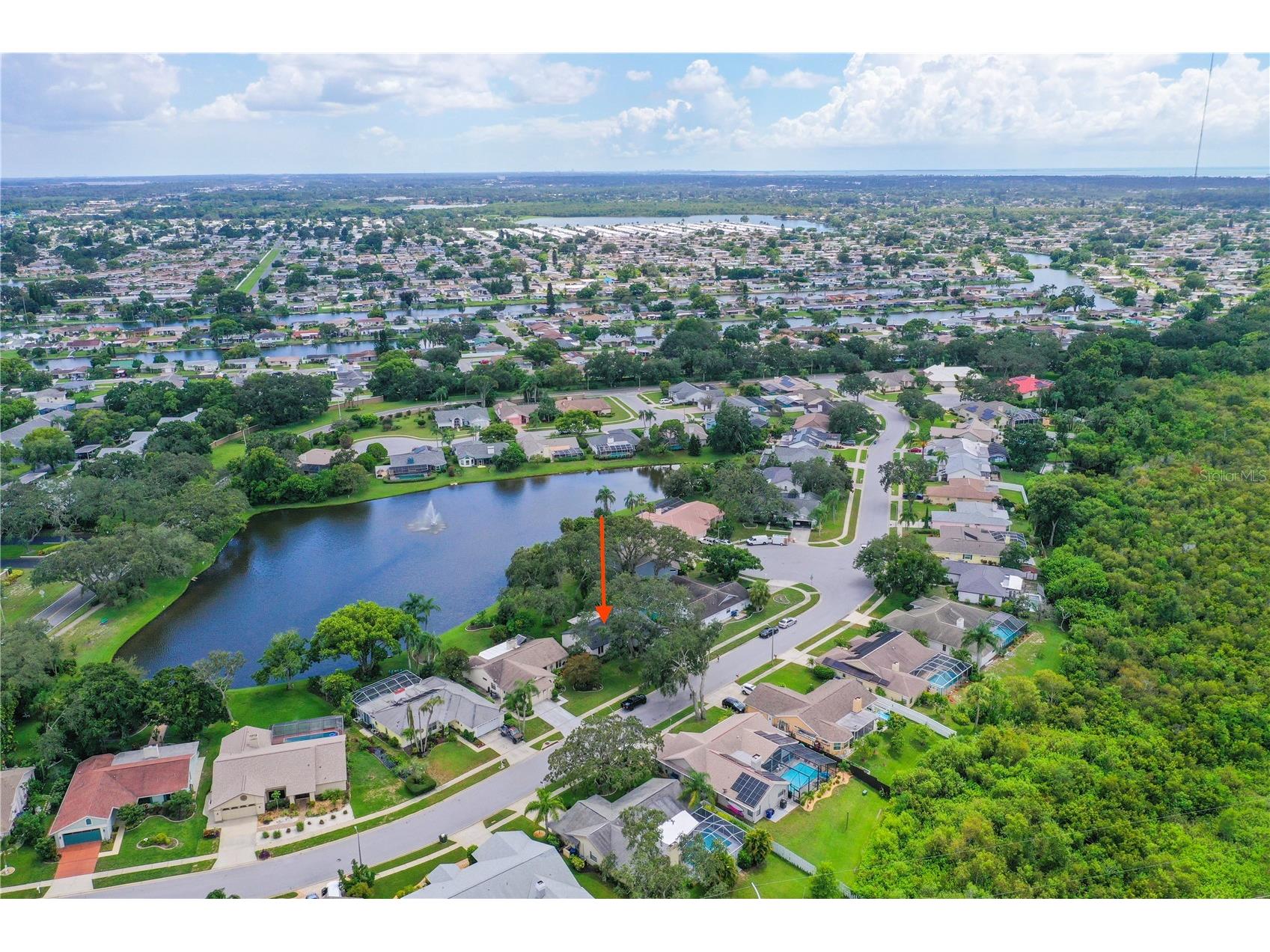 2906 Windridge Drive Holiday FL 34691 TB8406249 image49