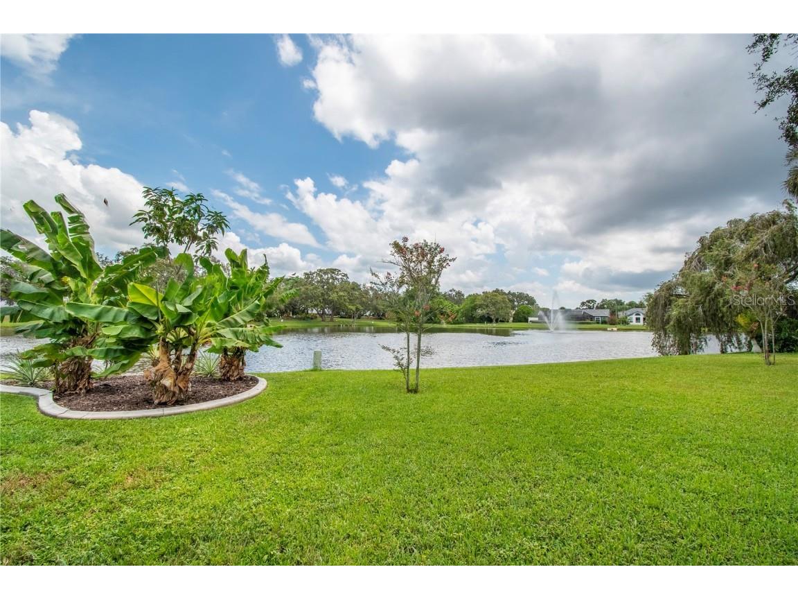 2906 Windridge Drive Holiday FL 34691 TB8406249 image5