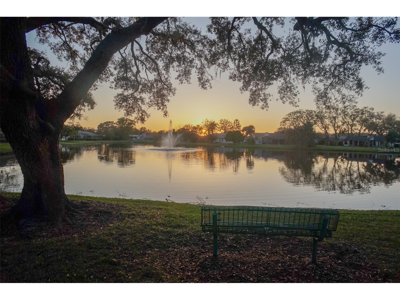 2906 Windridge Drive Holiday FL 34691 TB8406249 image50