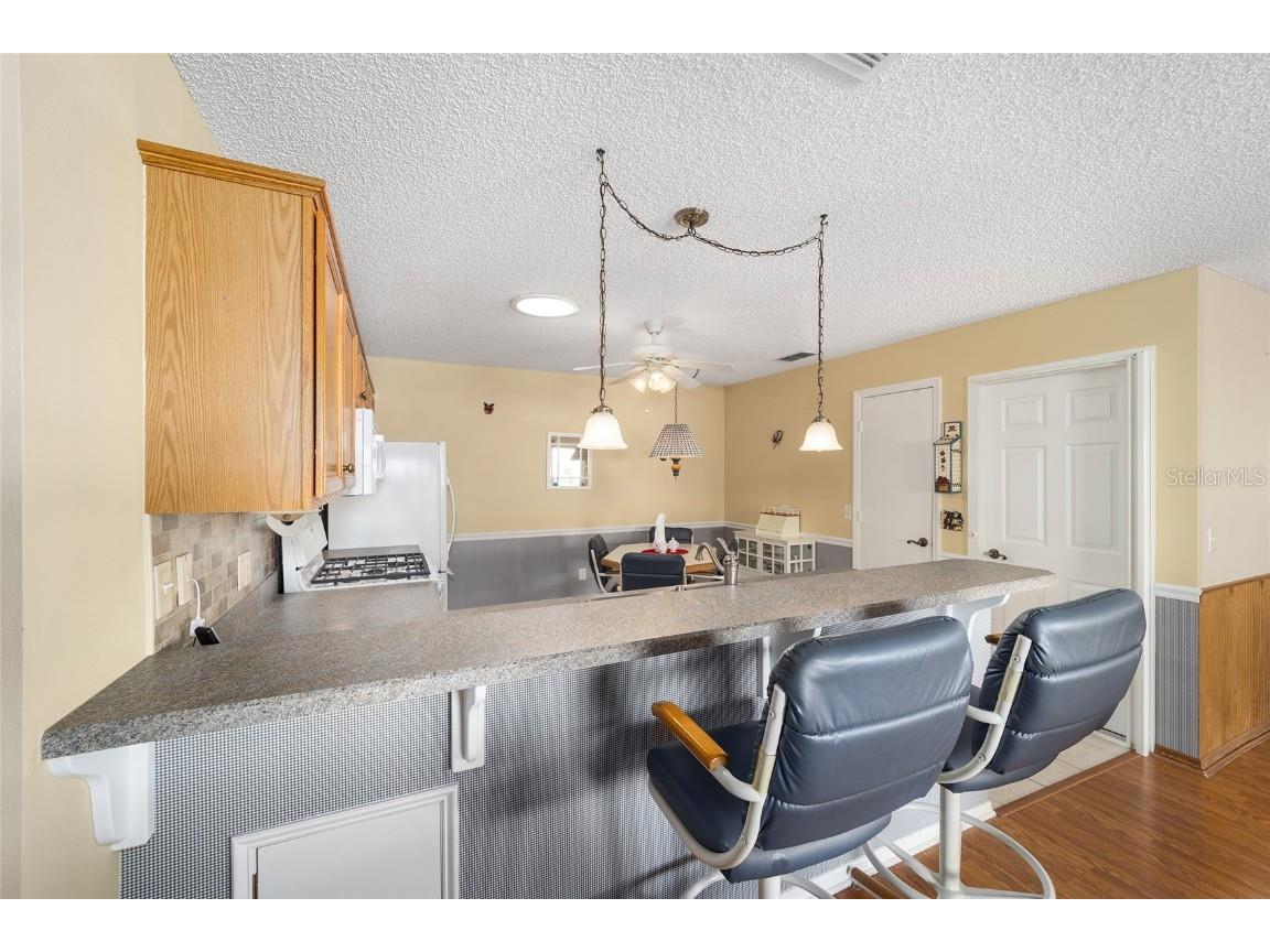 2907 Barboza Drive The Villages FL 32162 G5090646 image17