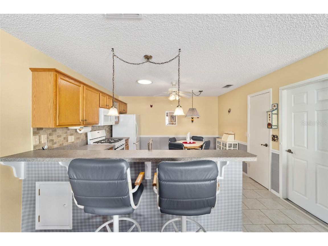 2907 Barboza Drive The Villages FL 32162 G5090646 image18