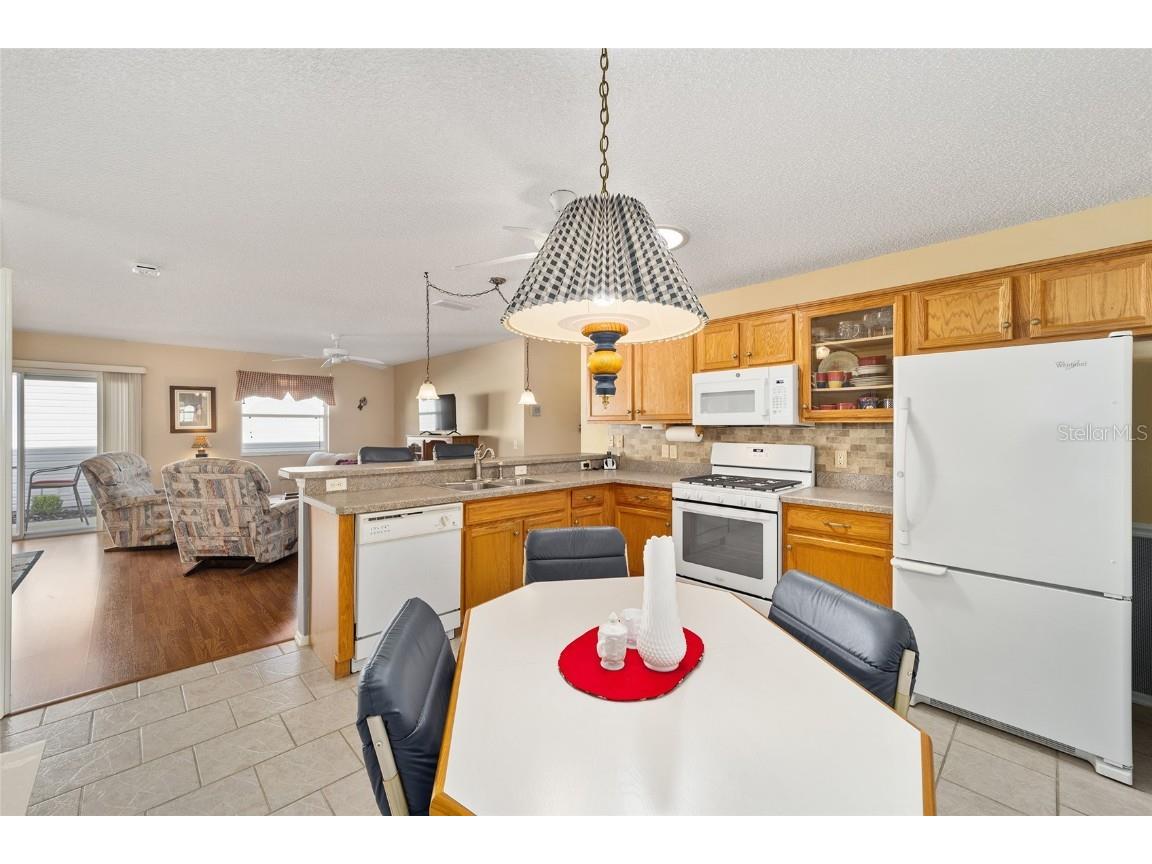 2907 Barboza Drive The Villages FL 32162 G5090646 image20