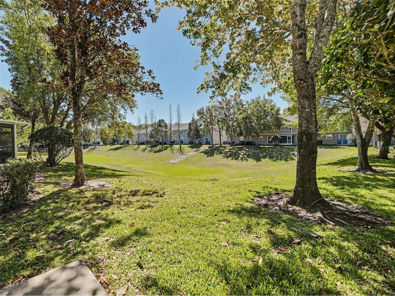 2907 Bear Oak Drive Valrico FL 33594 TB8490154 image18