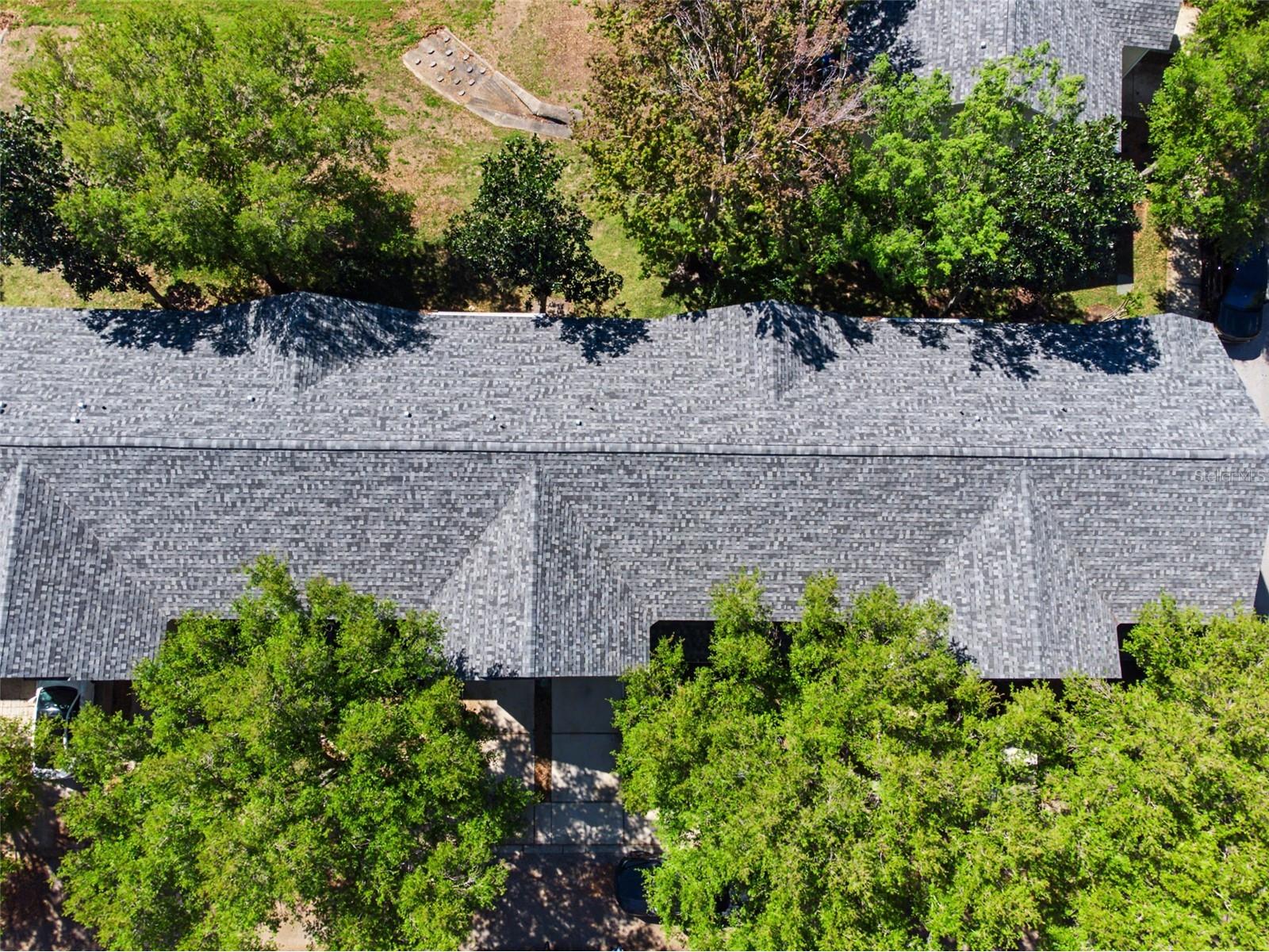 2907 Bear Oak Drive Valrico FL 33594 TB8490154 image21