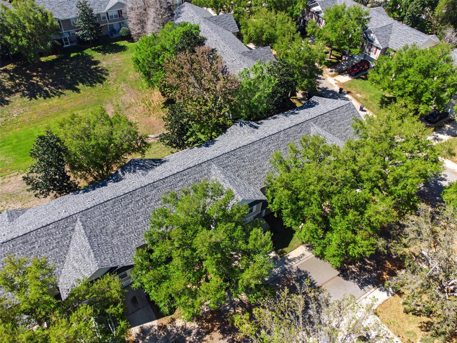 2907 Bear Oak Drive Valrico FL 33594 TB8490154 image22
