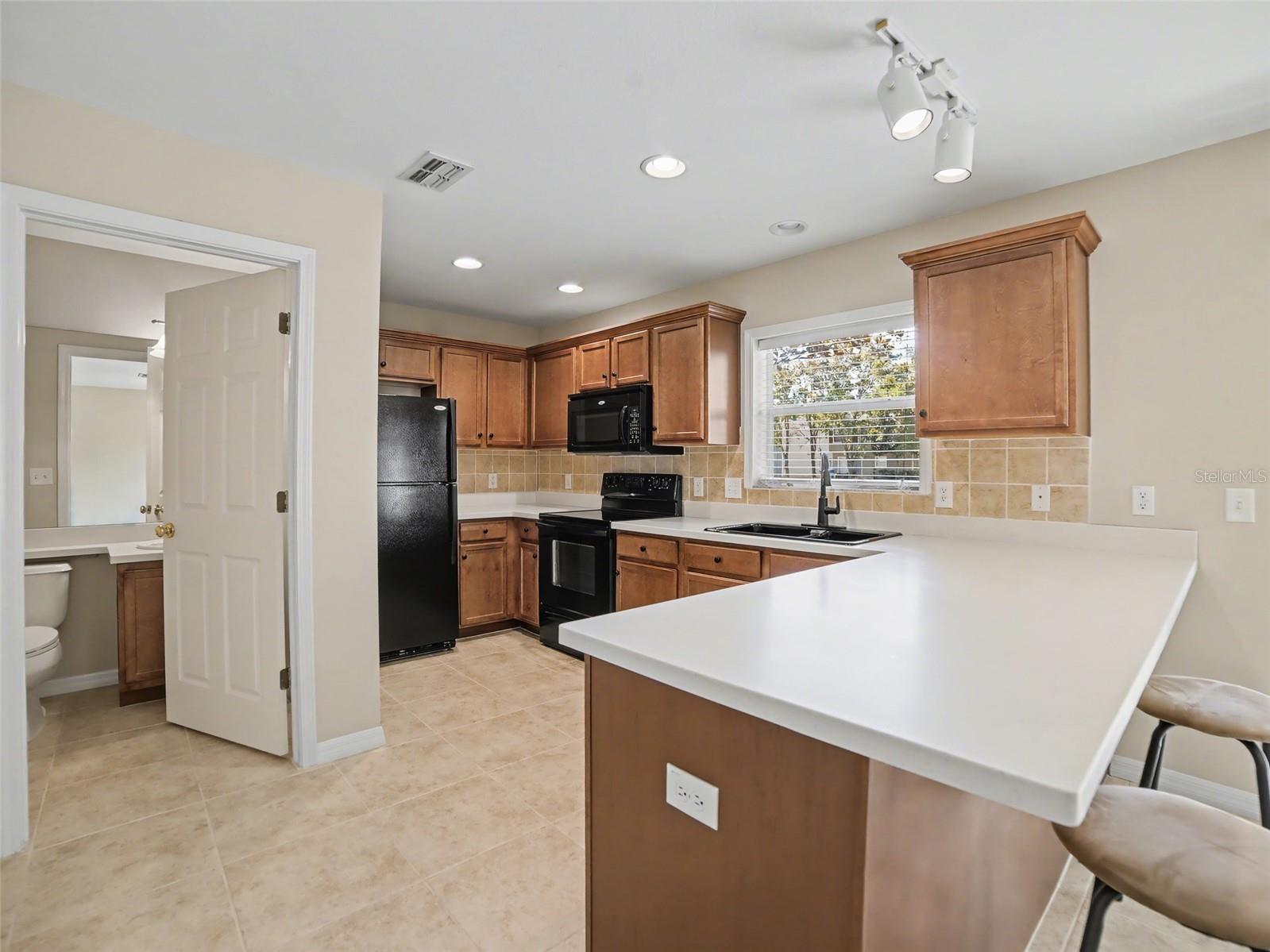 2907 Bear Oak Drive Valrico FL 33594 TB8490154 image8