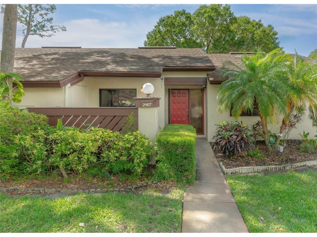 2907 Boxwood Court Palm Harbor FL 34684 U8197431 image1