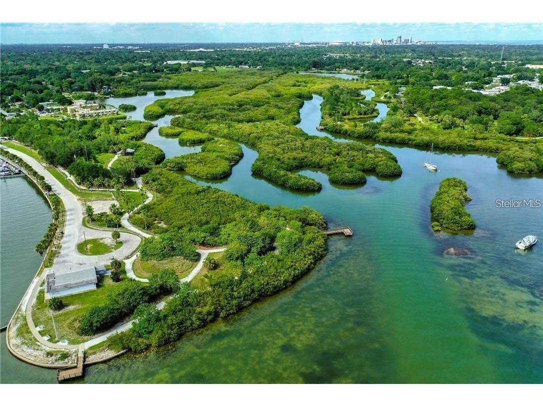 2907 Clinton Street S Gulfport FL 33707 TB8496629 image21