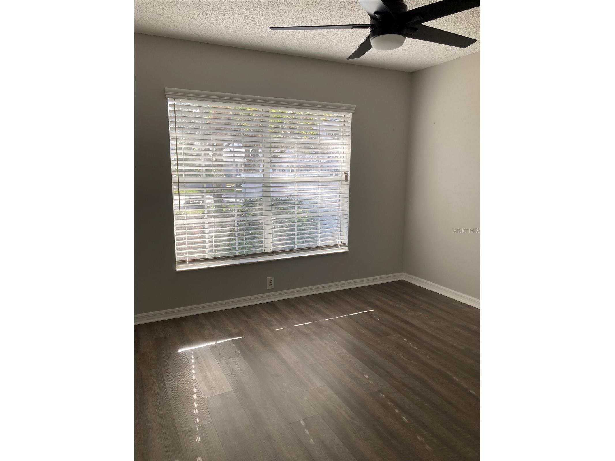 2907 Featherstone Drive Holiday FL 34691 W7881997 image4