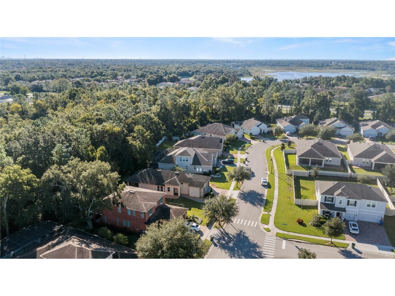 2907 Foxtail Bend Ocoee FL 34761 S5137603 image39