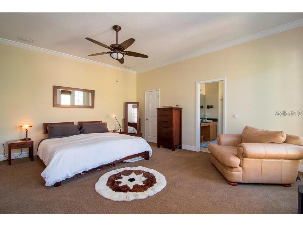2907 Hansen Manor Lane Tampa FL 33611 TB8513127 image8