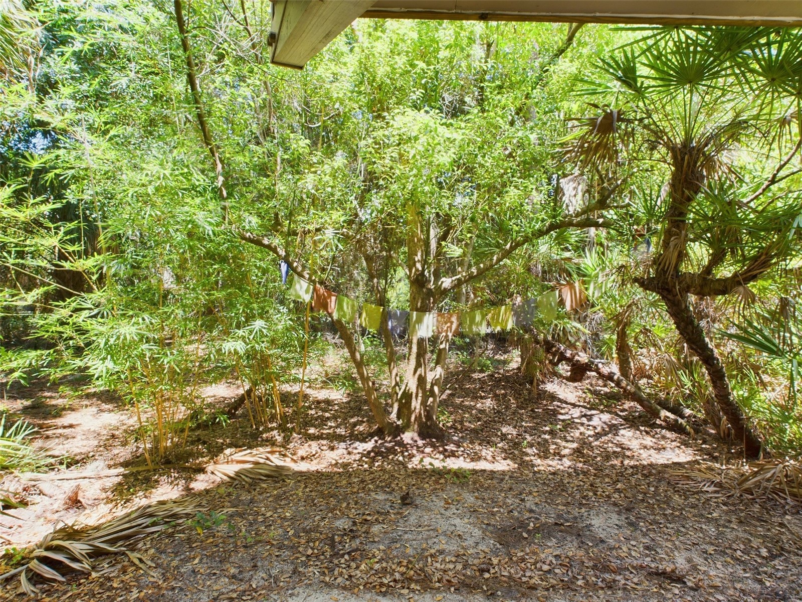 2907 Marion Way #2907 Haines City FL 33844 L4958983 image5