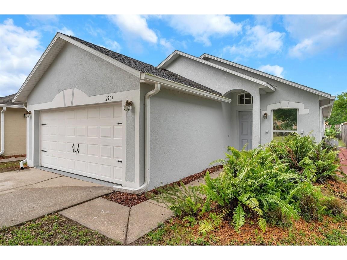 2907 Mingo Drive Land O Lakes FL 34639 TB8380322 image1