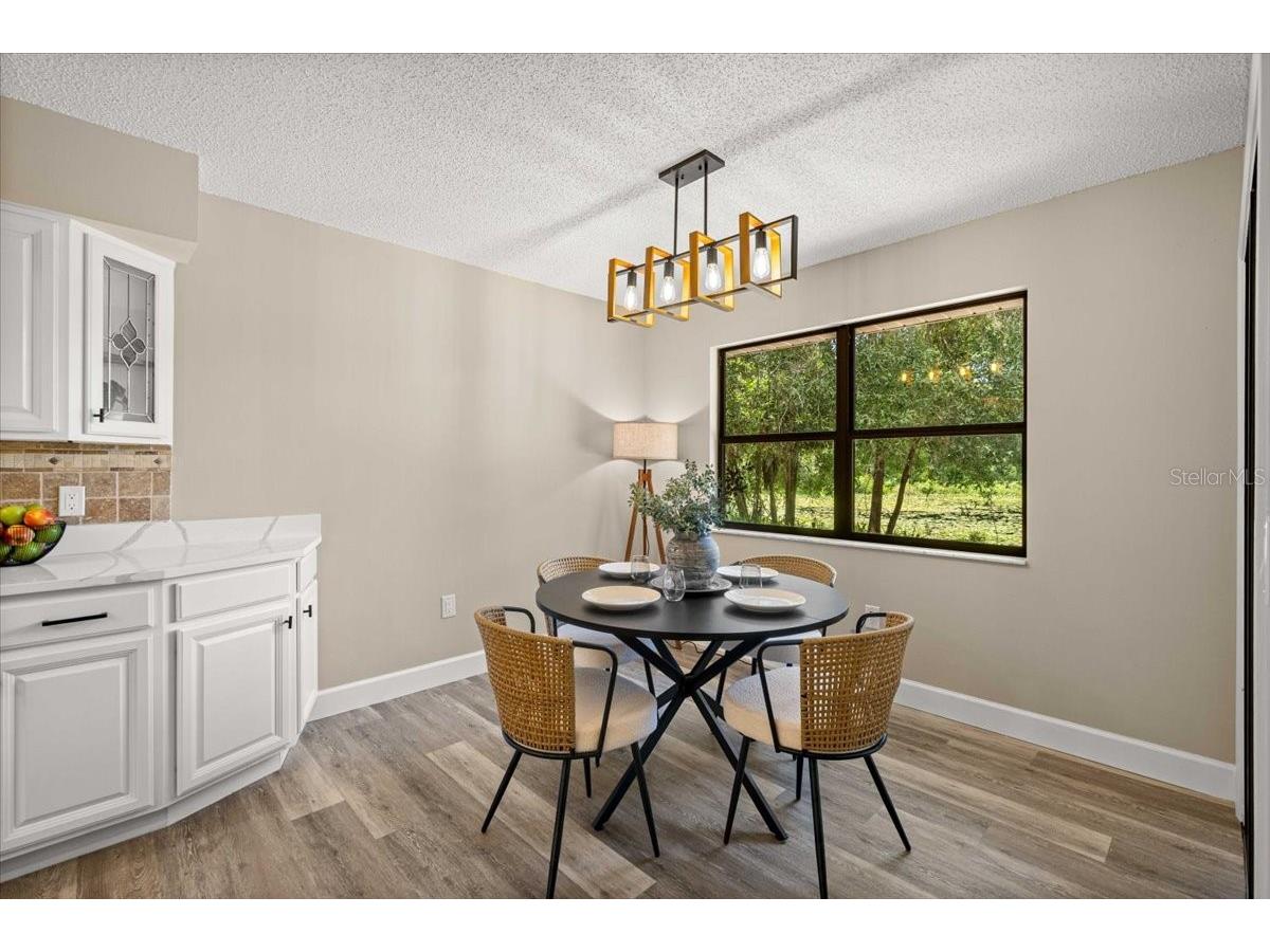 2907 S Skyline Drive Inverness FL 34450 TB8517838 image13