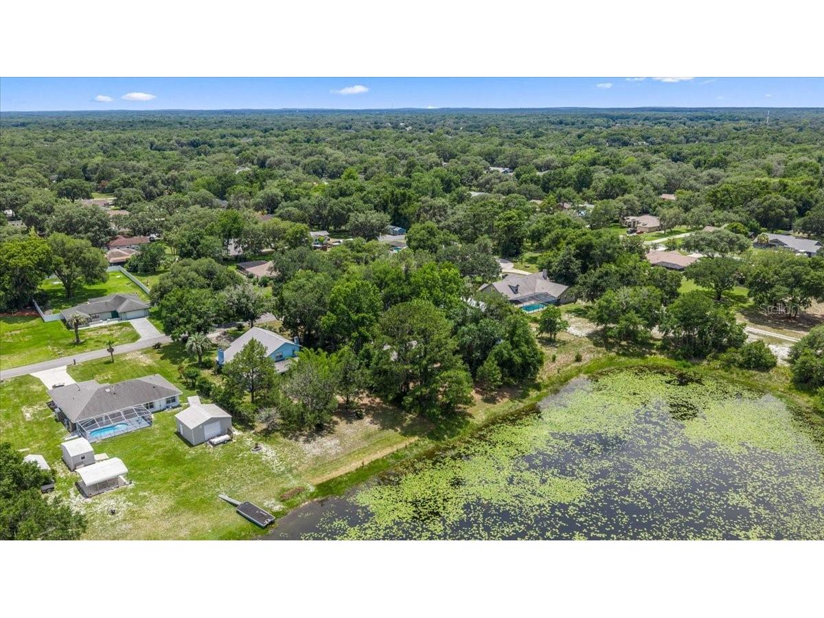 2907 S Skyline Drive Inverness FL 34450 TB8517838 image42