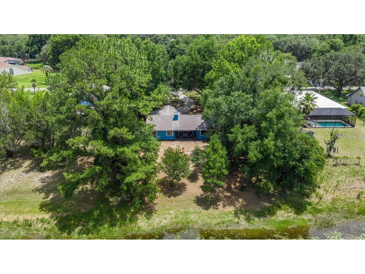 2907 S Skyline Drive Inverness FL 34450 TB8517838 image43
