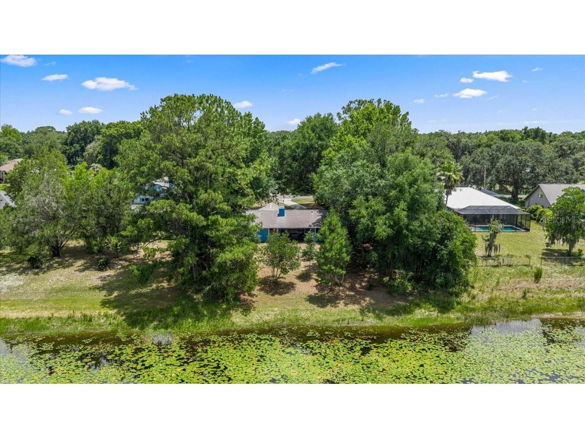 2907 S Skyline Drive Inverness FL 34450 TB8517838 image44