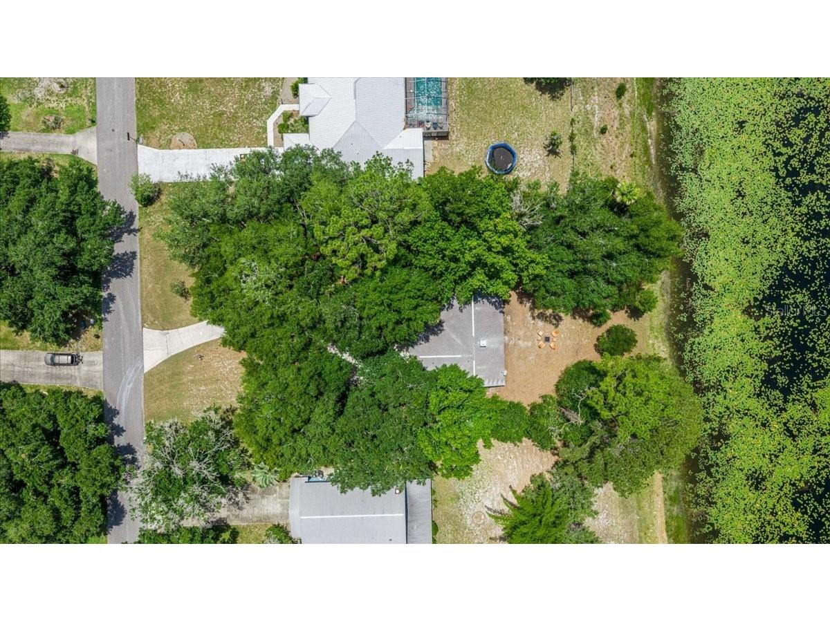 2907 S Skyline Drive Inverness FL 34450 TB8517838 image45