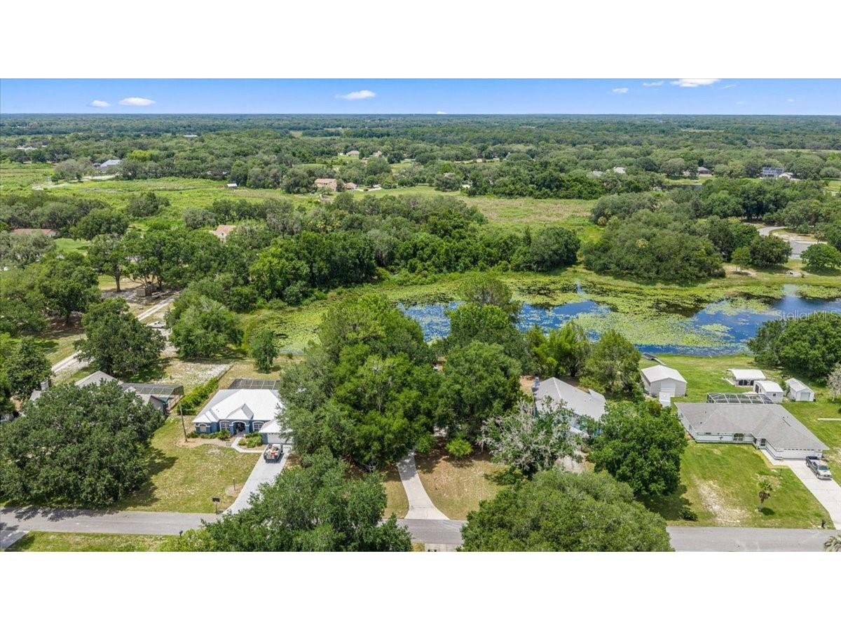 2907 S Skyline Drive Inverness FL 34450 TB8517838 image46
