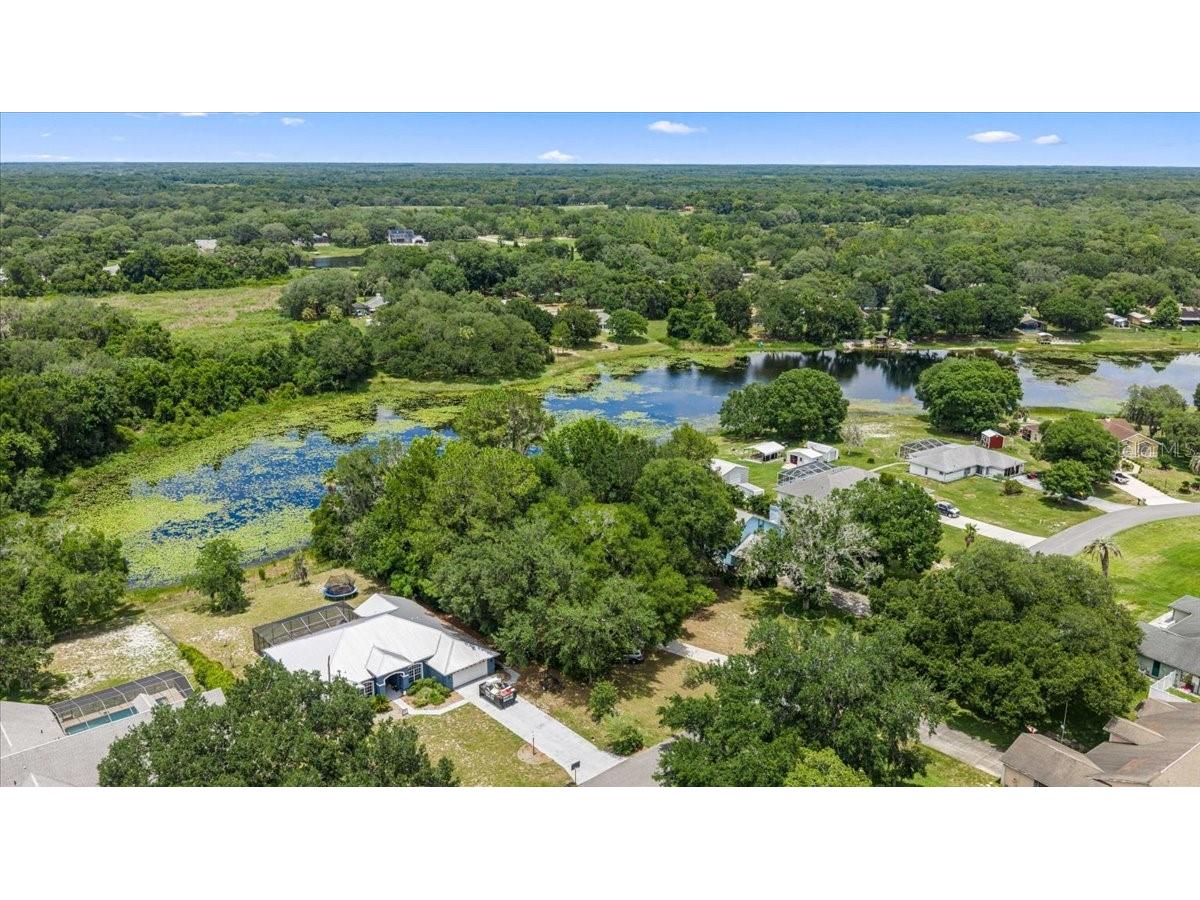 2907 S Skyline Drive Inverness FL 34450 TB8517838 image47