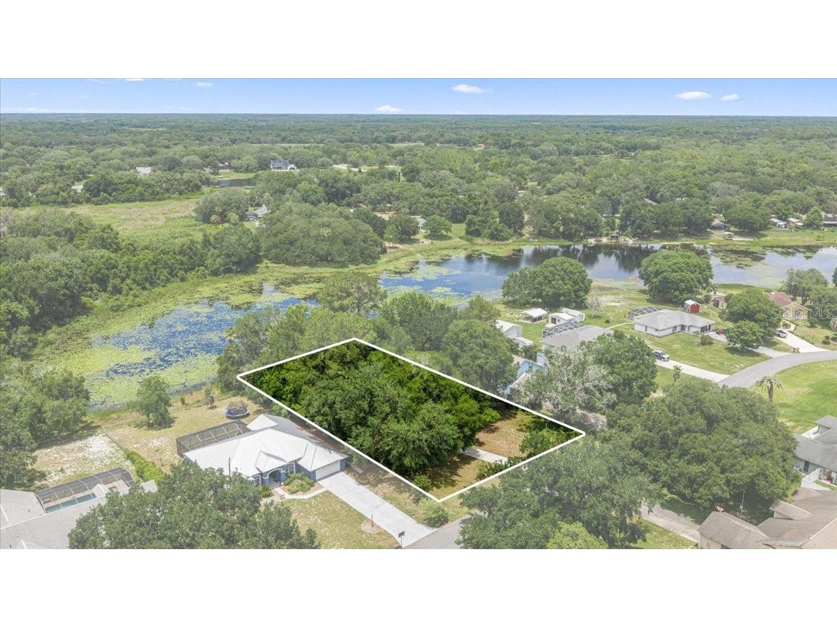 2907 S Skyline Drive Inverness FL 34450 TB8517838 image51