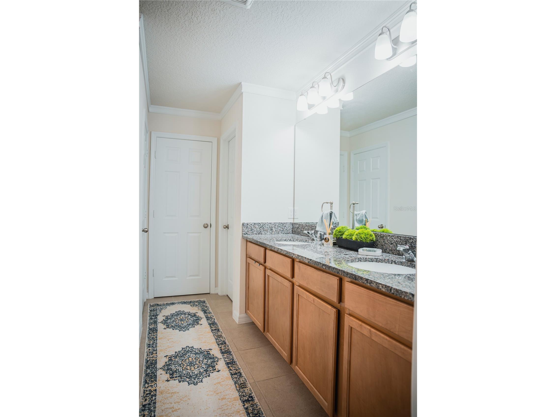 2907 Summer Green Trail Kissimmee FL 34744 TB8511167 image8