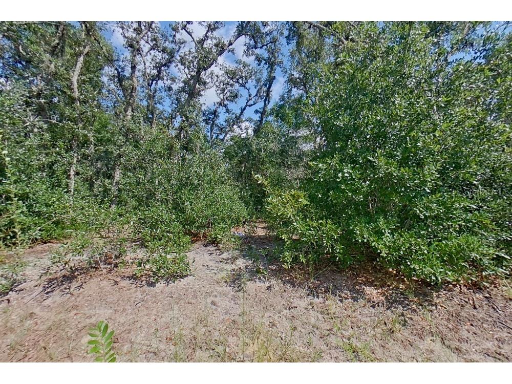 2907 W Camilo Drive Citrus Springs FL 34434 O6411641 image16