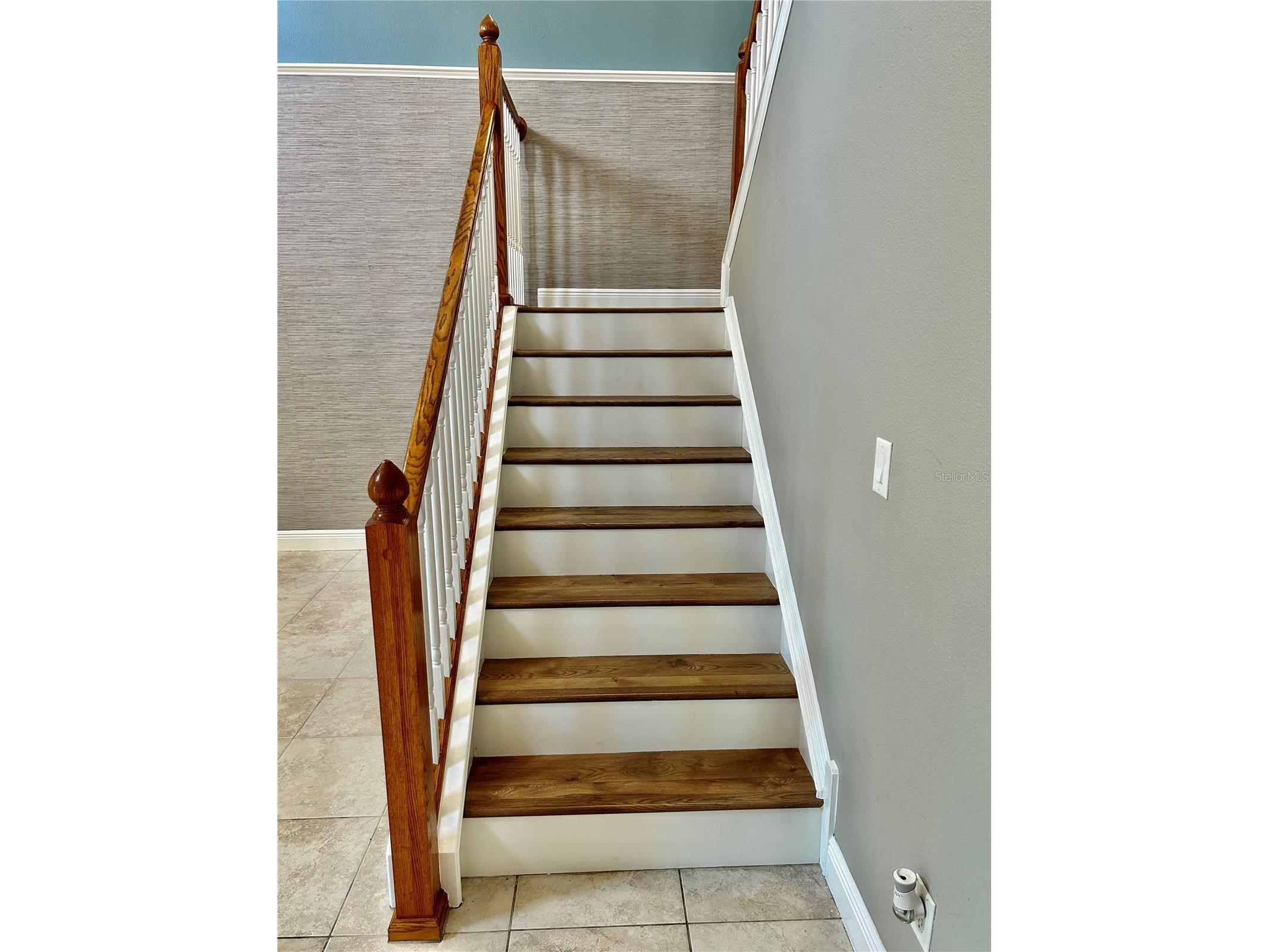 2907 Winglewood Circle Lutz FL 33558 TB8494550 image29