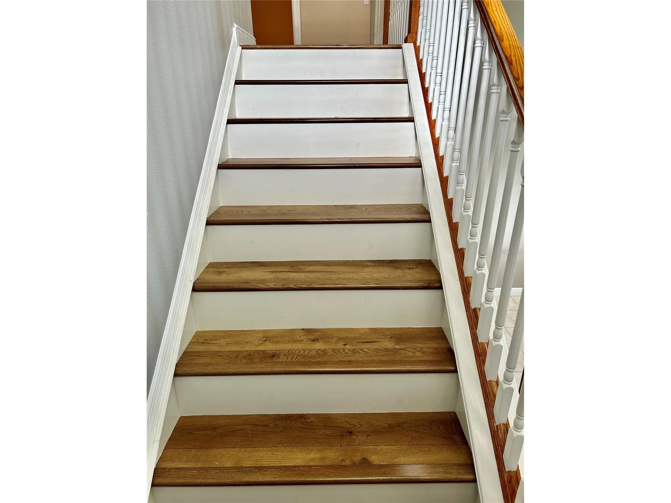 2907 Winglewood Circle Lutz FL 33558 TB8494550 image30