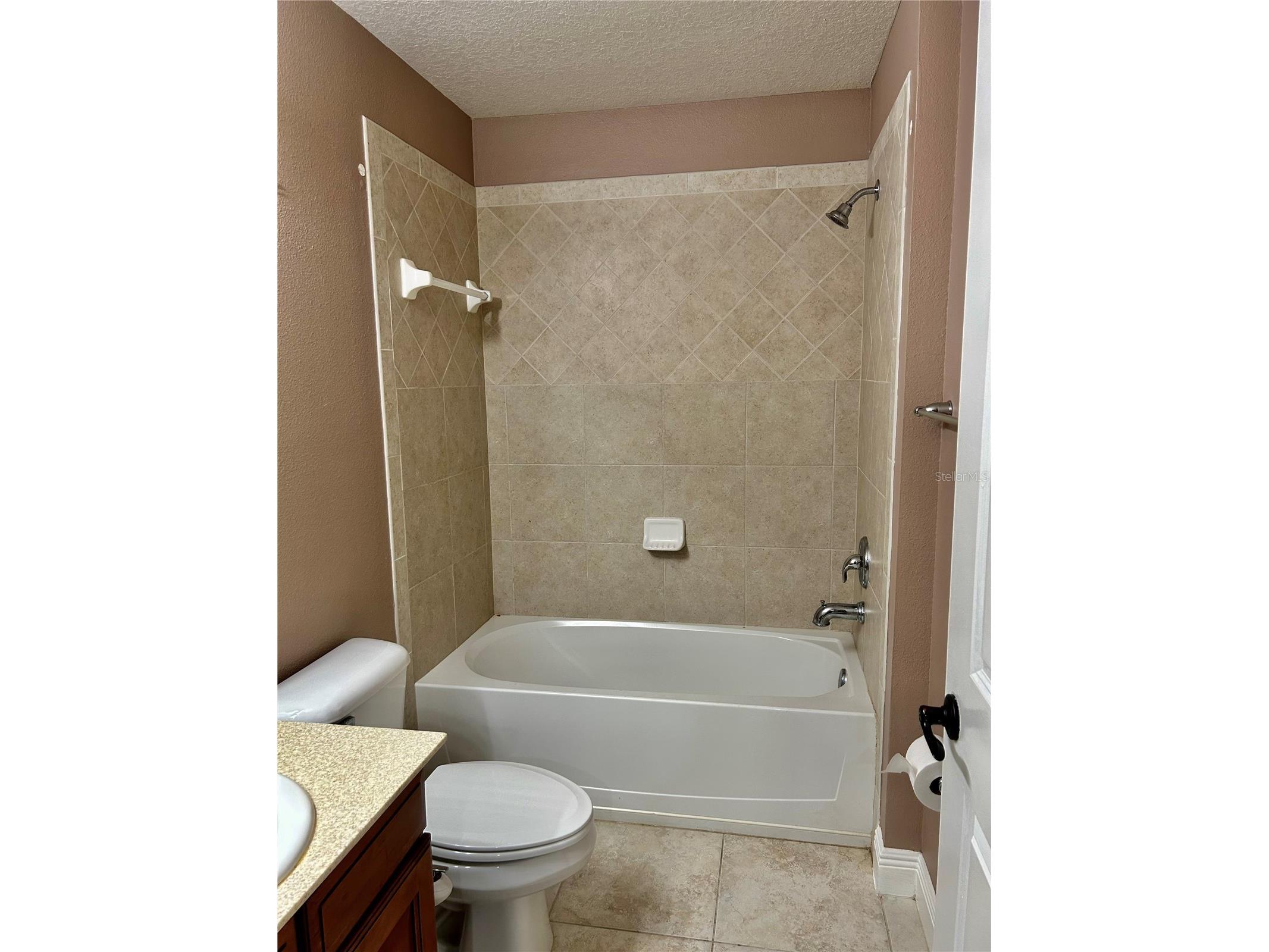 2907 Winglewood Circle Lutz FL 33558 TB8494550 image36