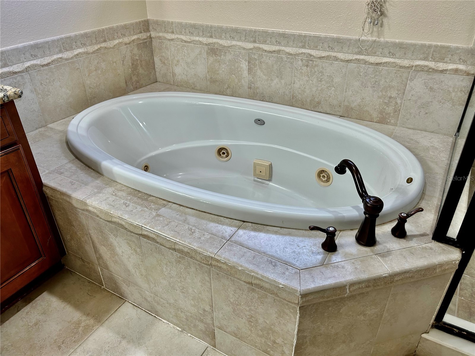 2907 Winglewood Circle Lutz FL 33558 TB8494550 image52