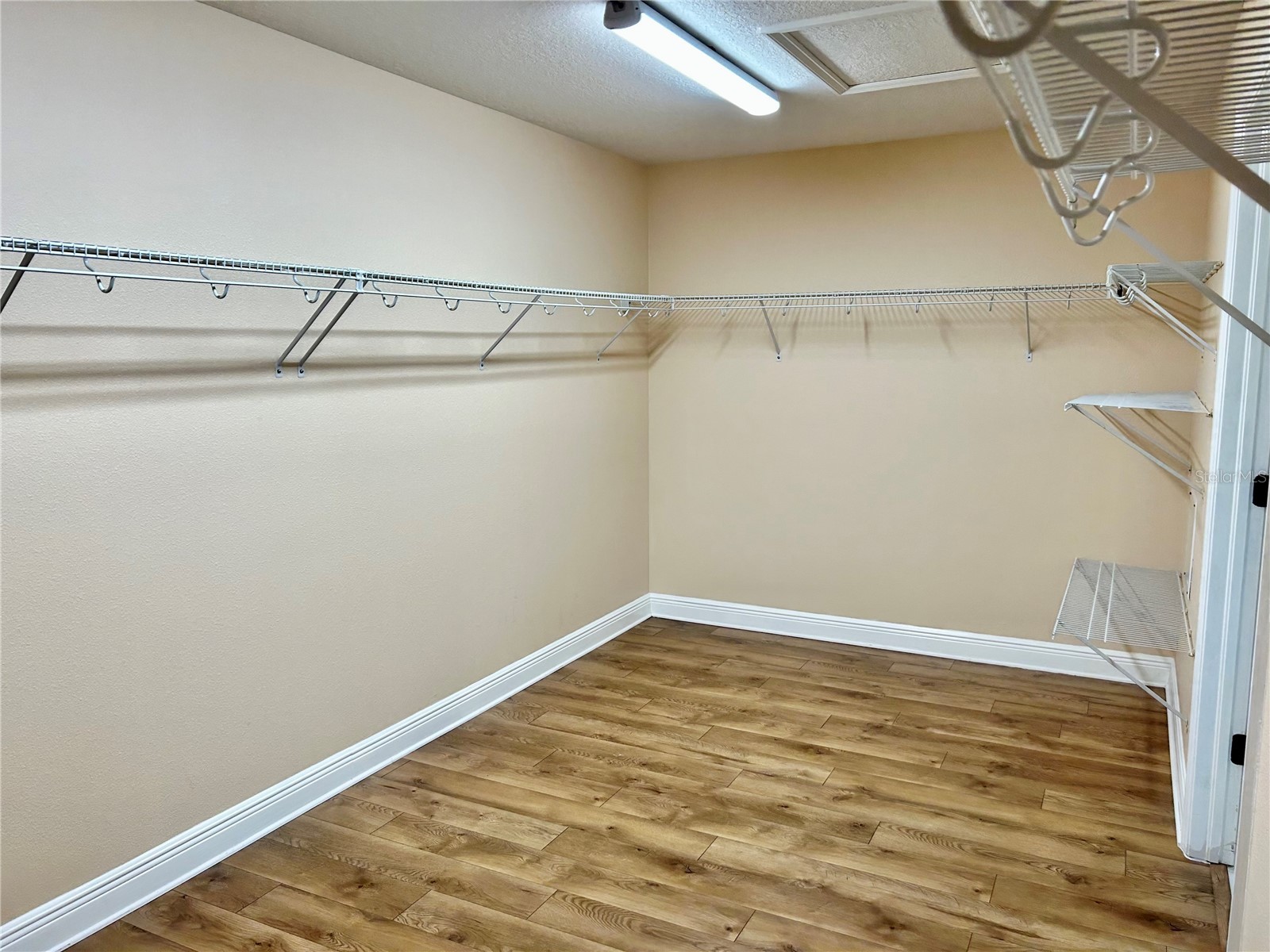 2907 Winglewood Circle Lutz FL 33558 TB8494550 image56