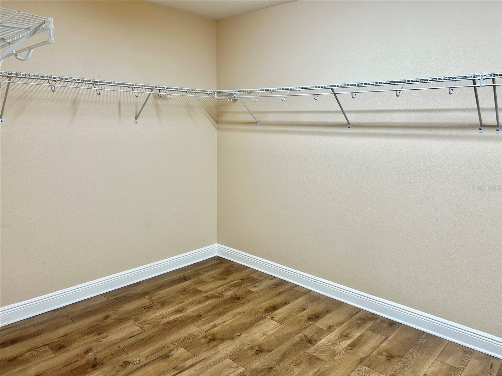 2907 Winglewood Circle Lutz FL 33558 TB8494550 image57