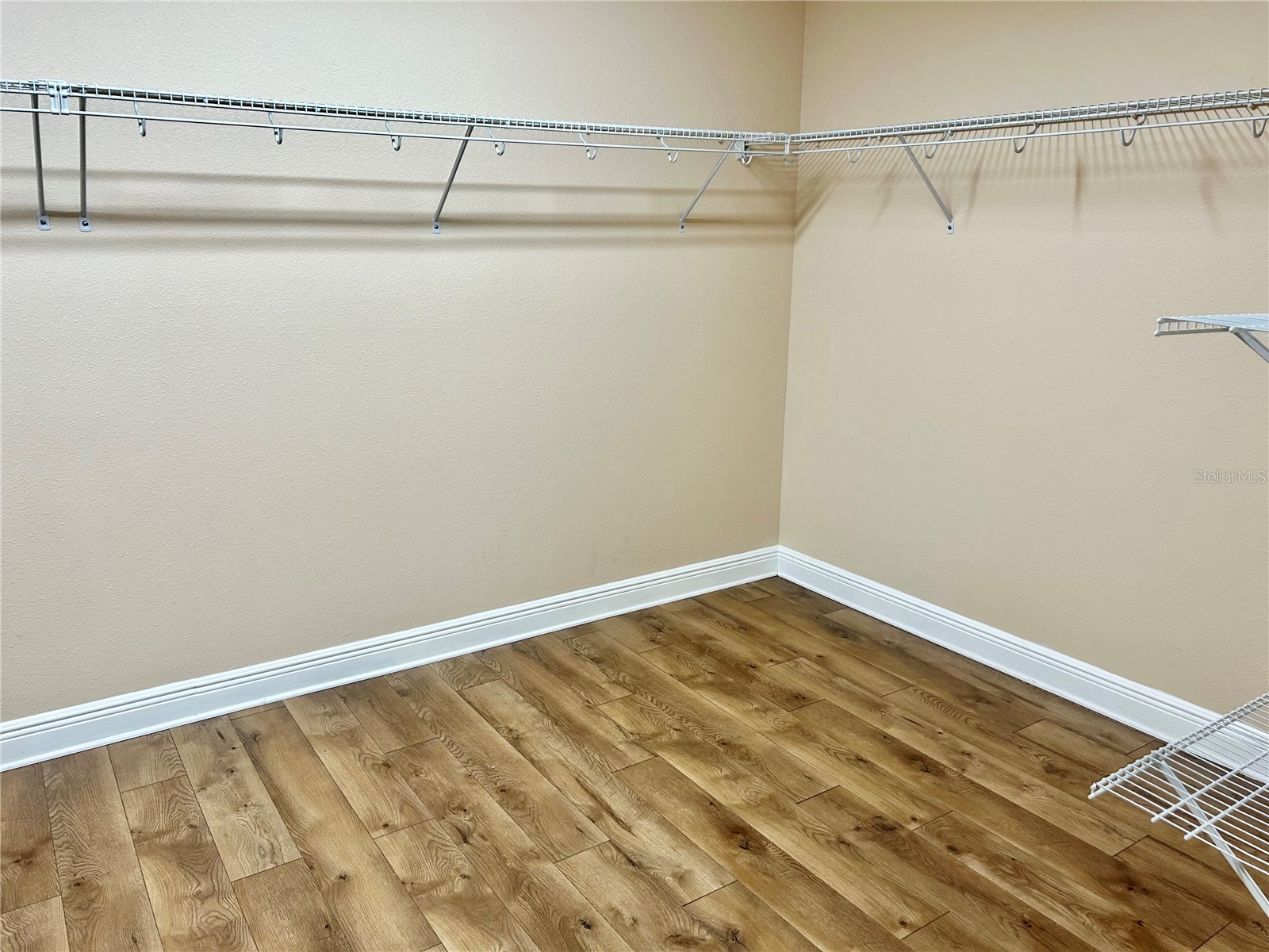 2907 Winglewood Circle Lutz FL 33558 TB8494550 image58