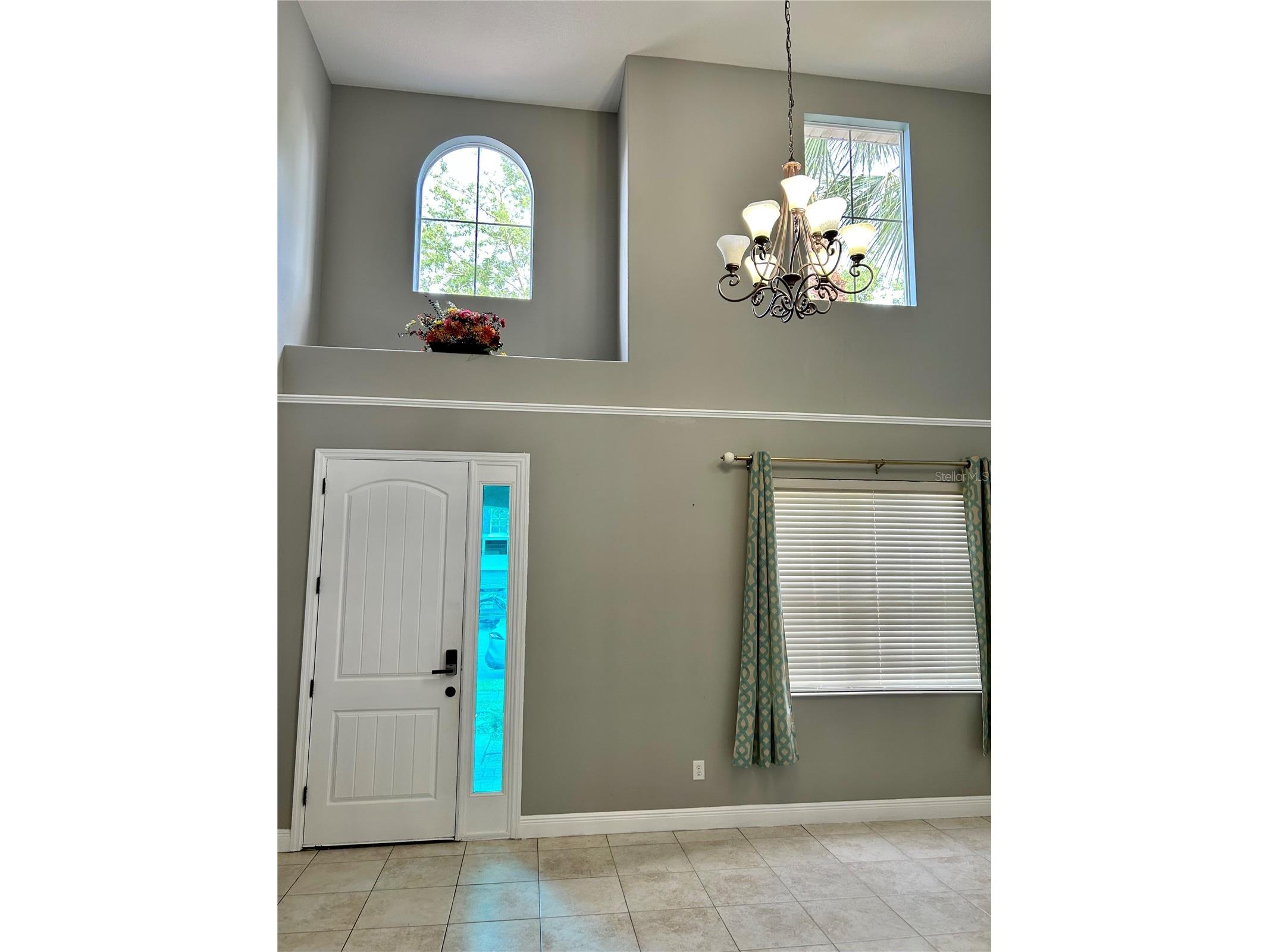 2907 Winglewood Circle Lutz FL 33558 TB8494550 image7