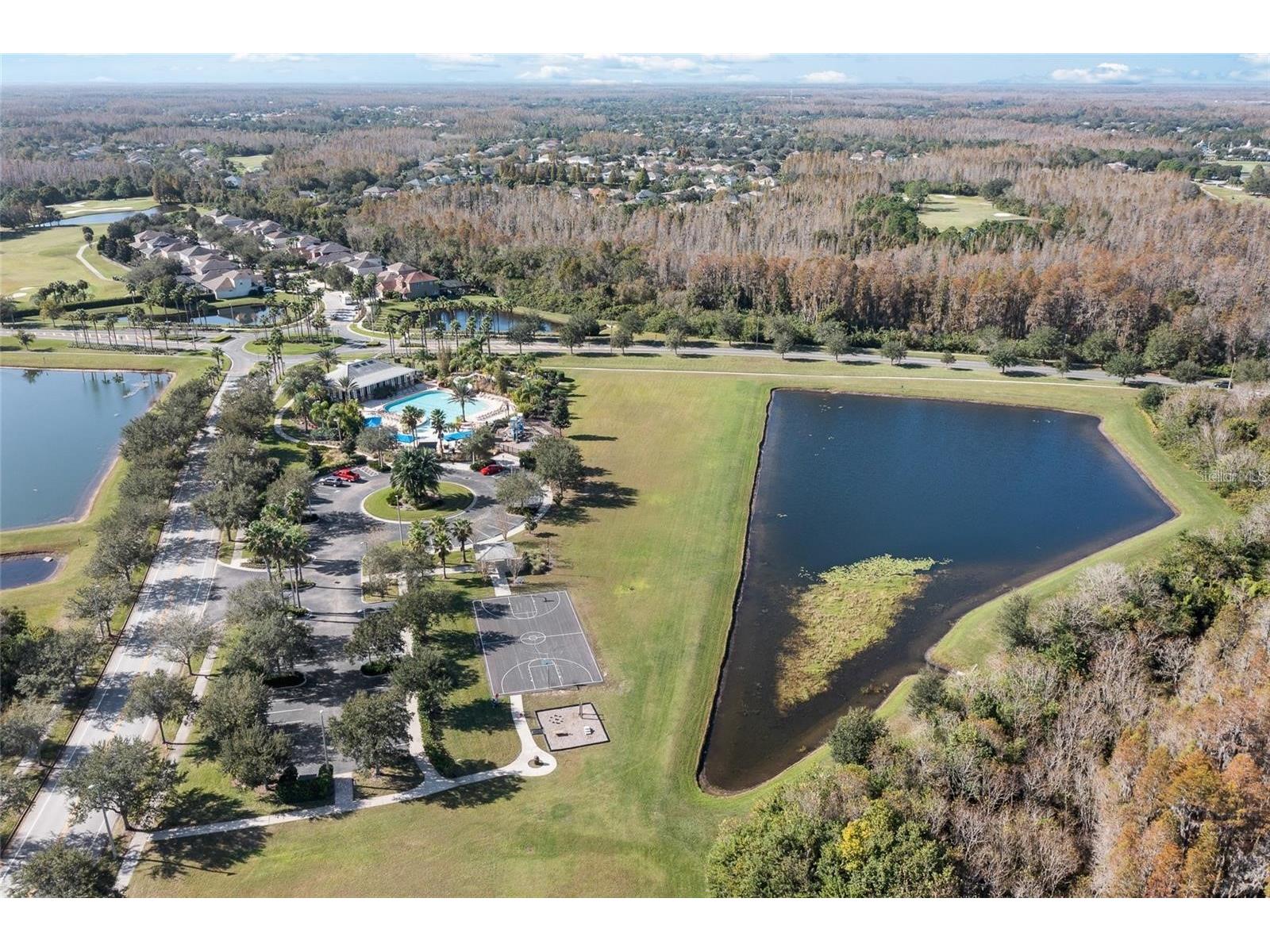 2907 Winglewood Circle Lutz FL 33558 TB8494550 image86