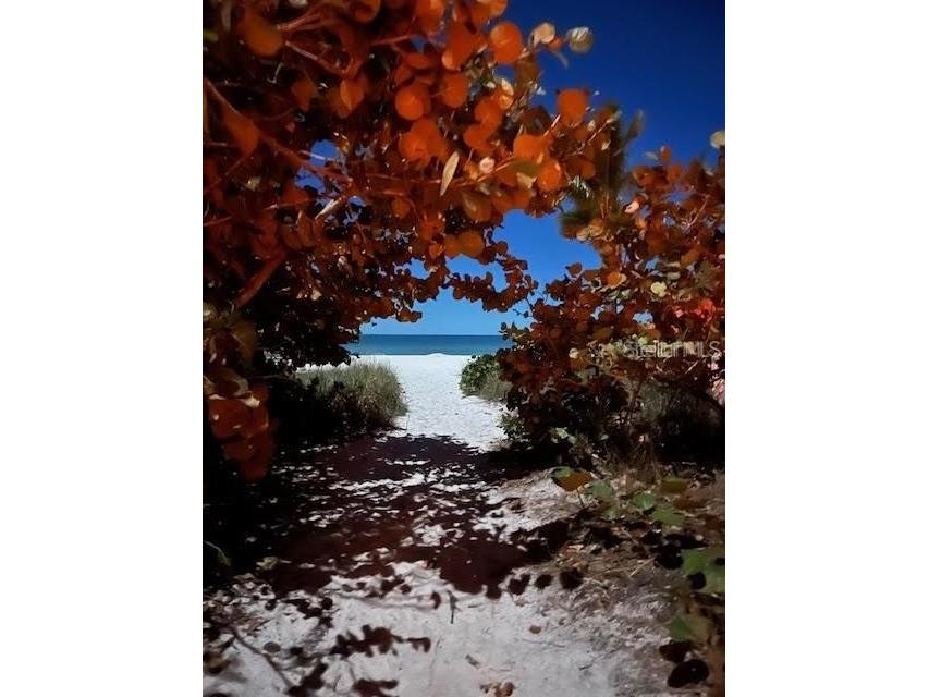 2908 Avenue B Holmes Beach FL 34217 A4672816 image10