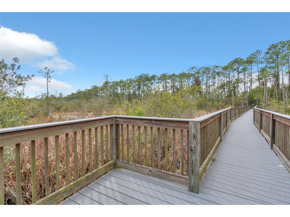 2908 Banana Palm Drive Kissimmee FL 34747 O6358978 image67