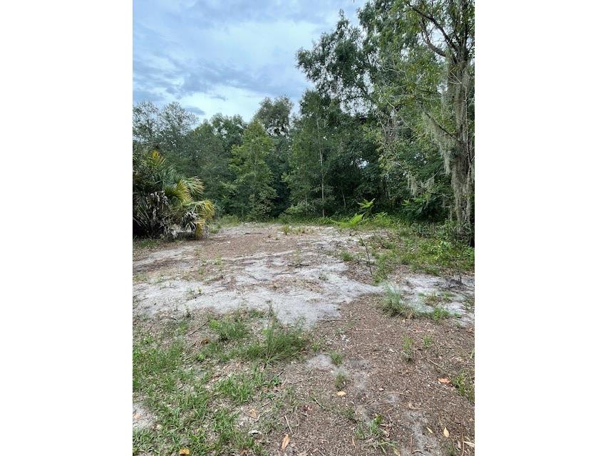 2908 Cleburne Road Orlando FL 32817 O6351300 image8