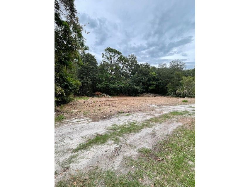 2908 Cleburne Road Orlando FL 32817 O6351300 image9