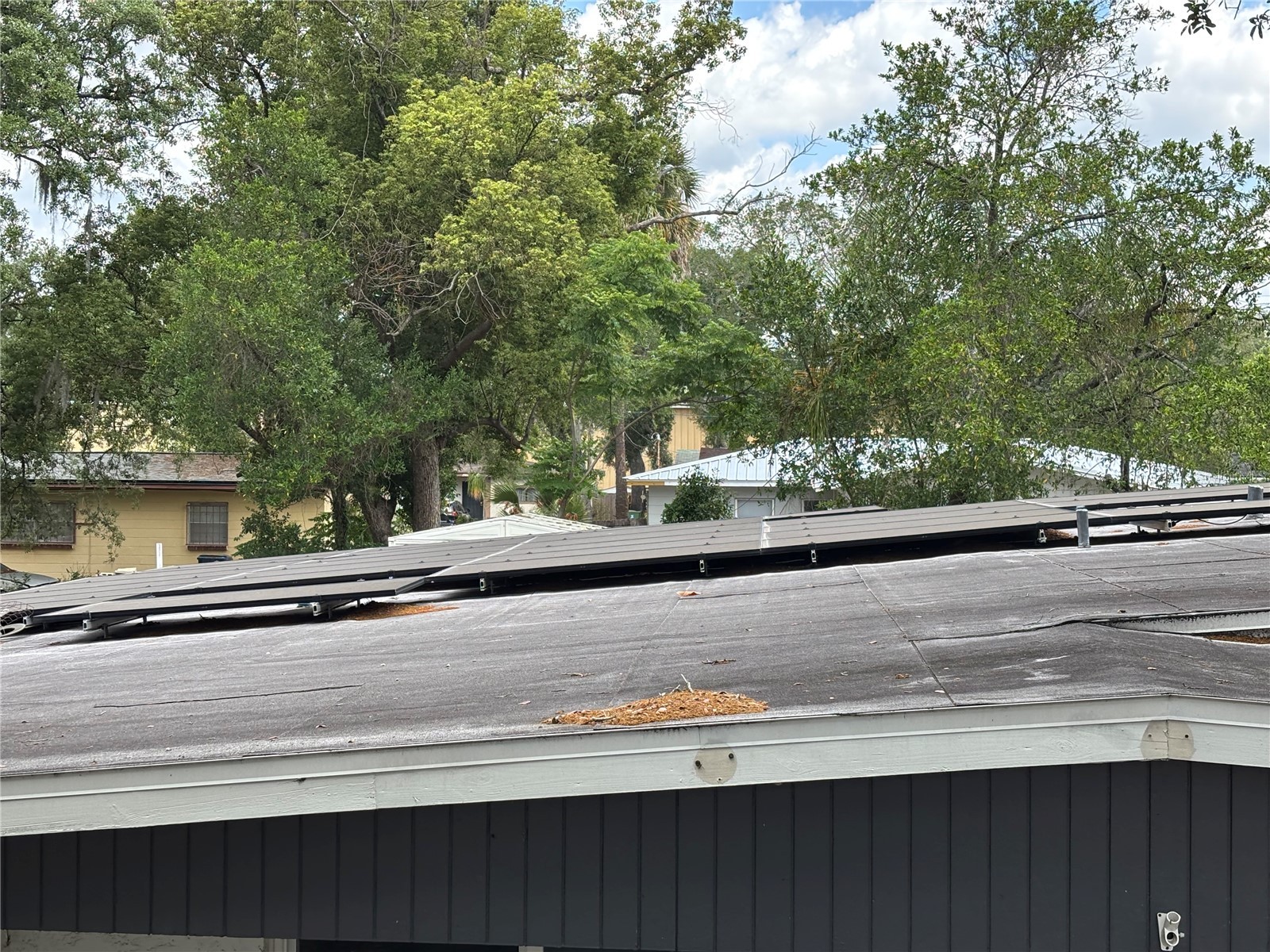 2908 E Howell Street Tampa FL 33610 TB8511821 image48