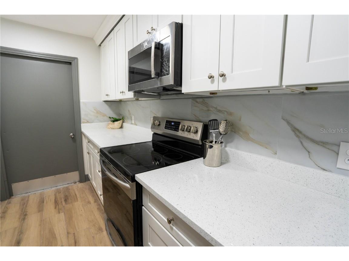 2908 Edenwood Street Clearwater FL 33759 TB8401724 image15