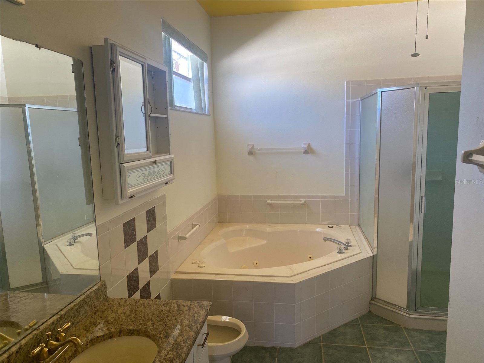 2908 Eldiente Way Kissimmee FL 34758 S5144283 image12
