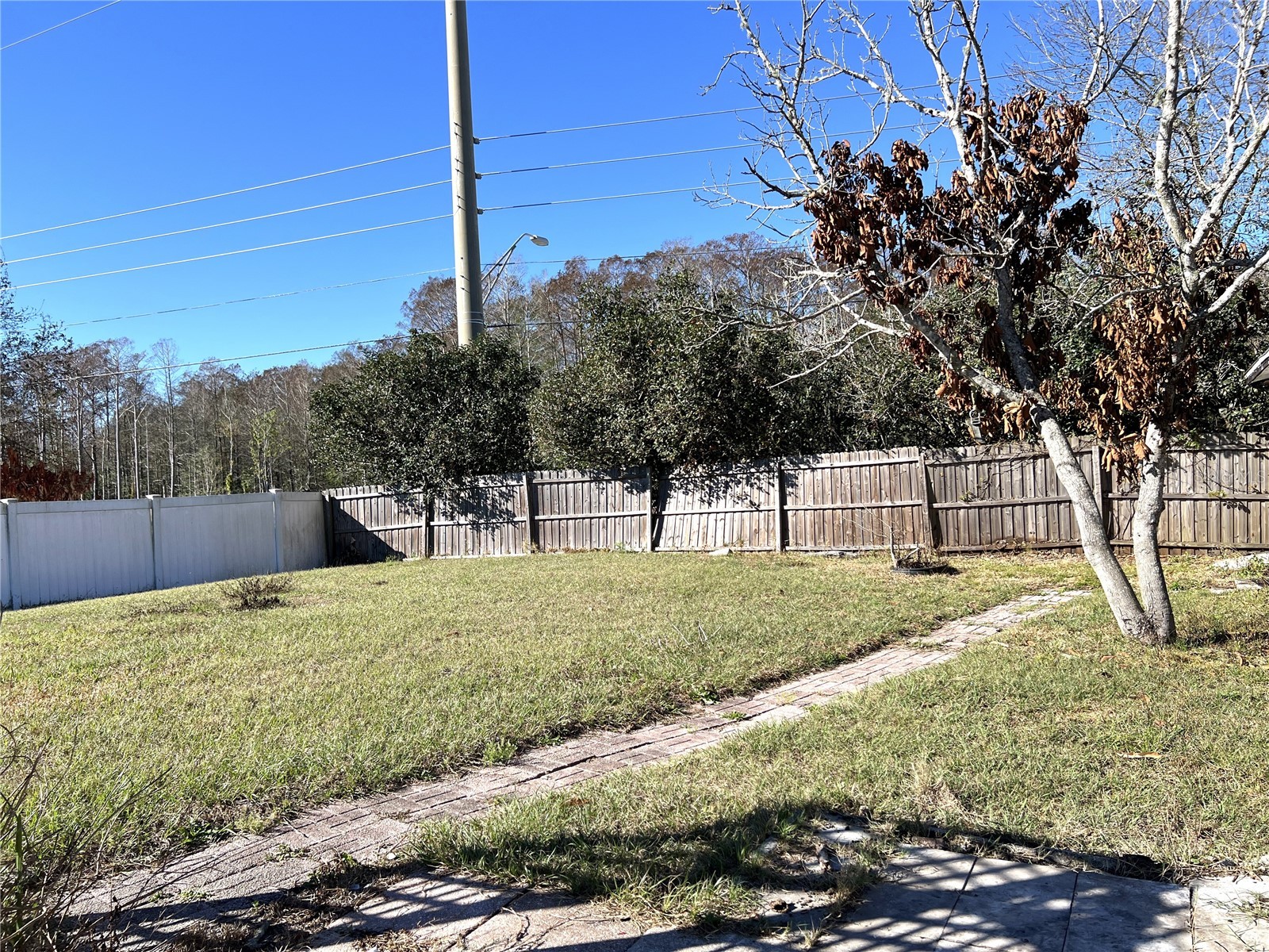 2908 Eldiente Way Kissimmee FL 34758 S5144283 image23