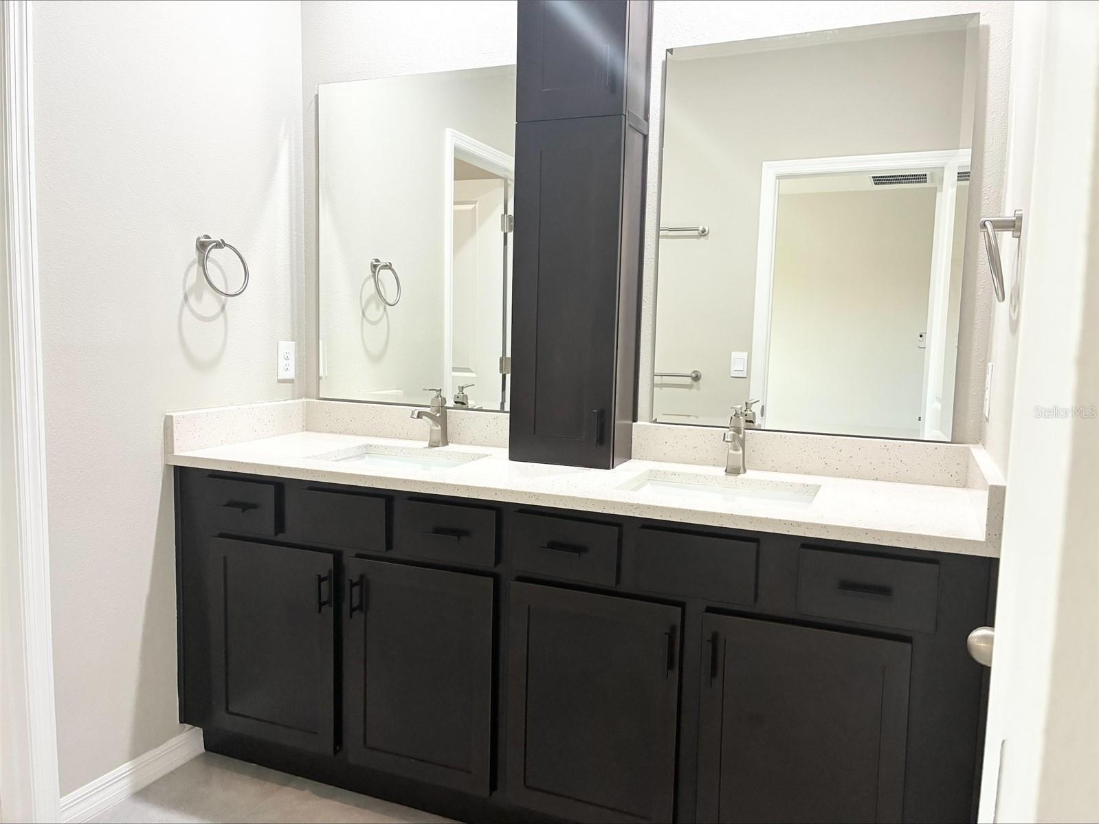 2908 Evergreen Elm Pass Wesley Chapel FL 33543 TB8505022 image10