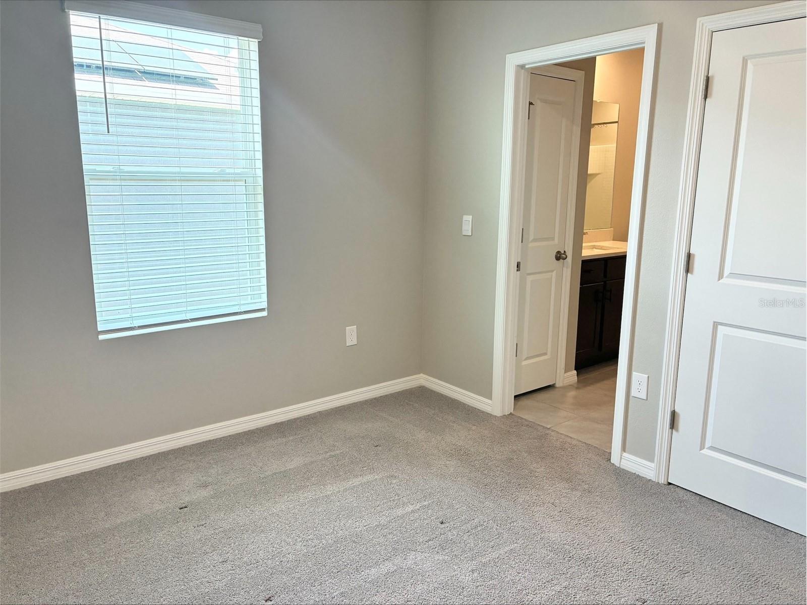 2908 Evergreen Elm Pass Wesley Chapel FL 33543 TB8505022 image18