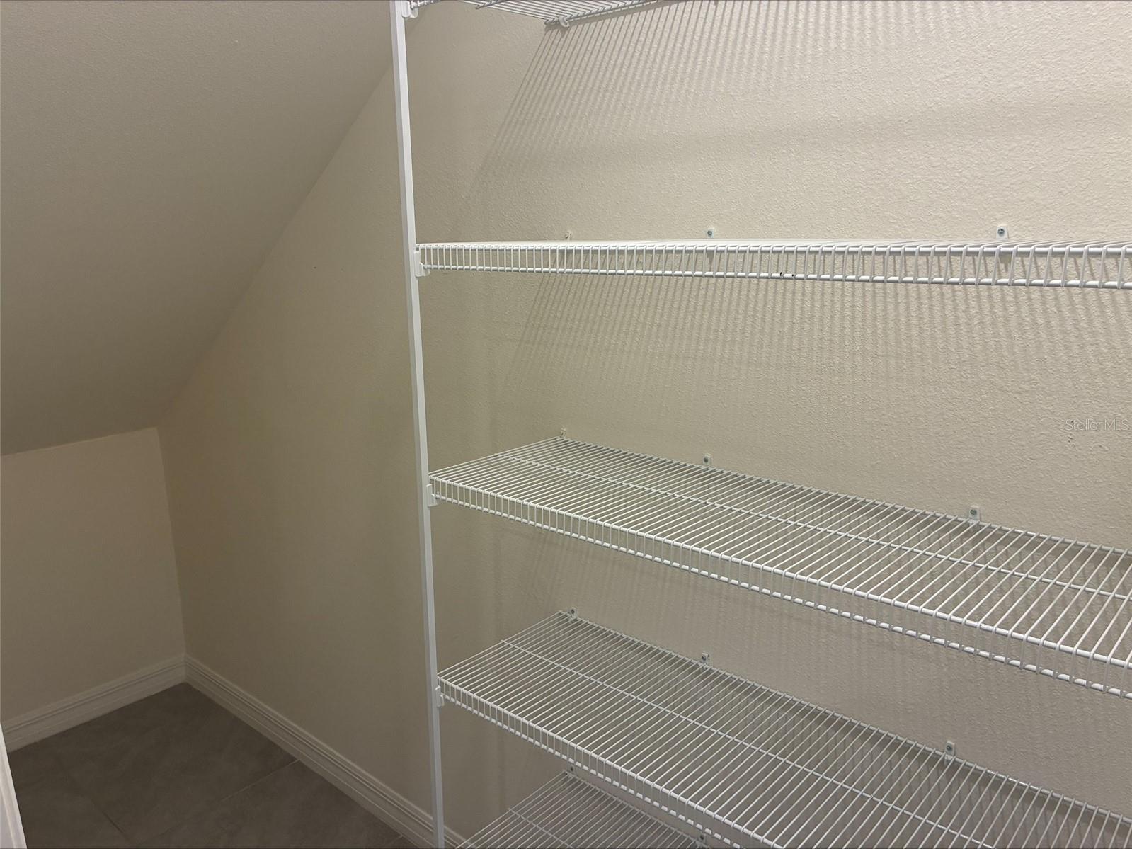 2908 Evergreen Elm Pass Wesley Chapel FL 33543 TB8505022 image6