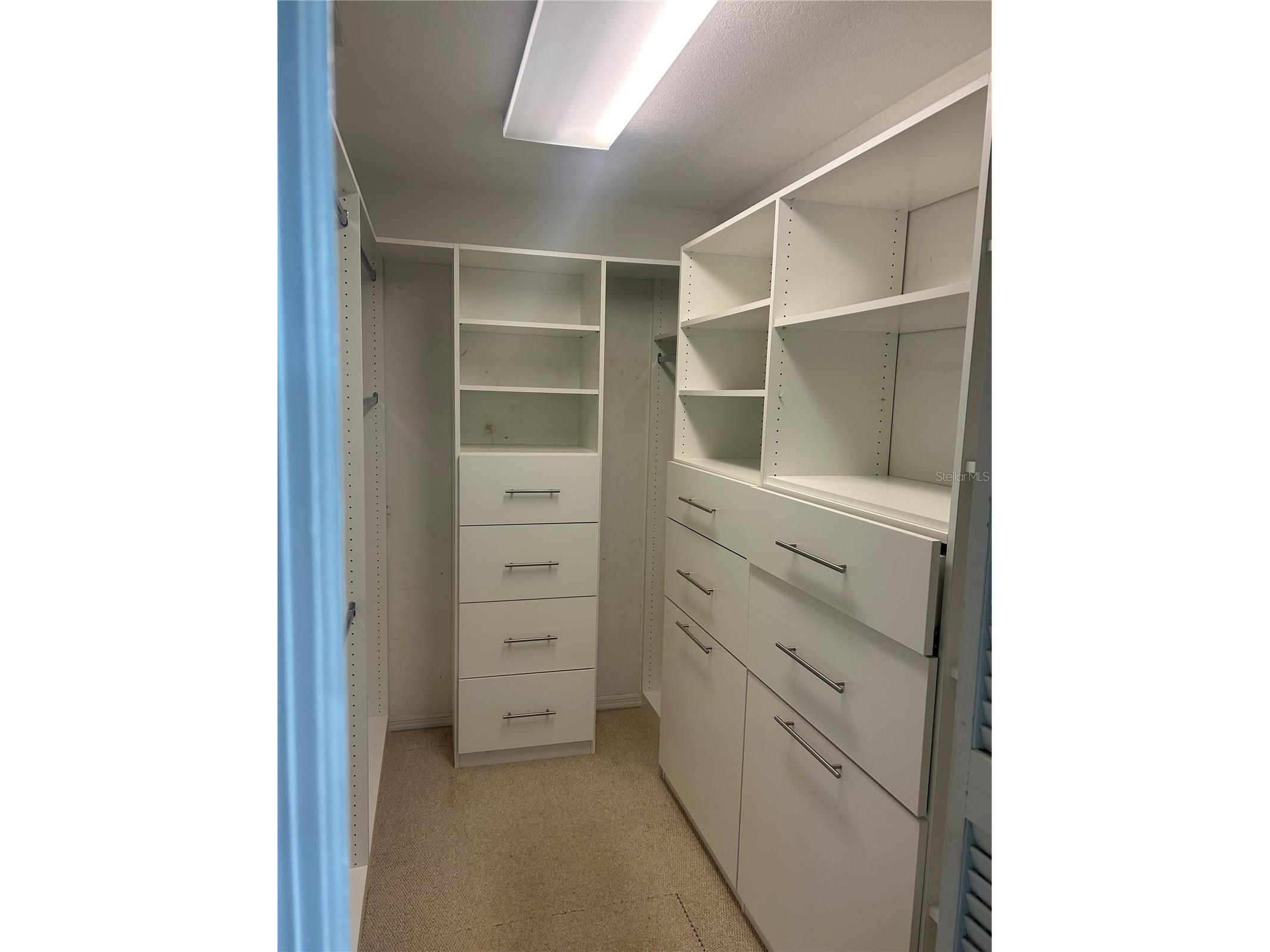 2908 Shannon Circle Palm Harbor FL 34684 TB8468399 image11